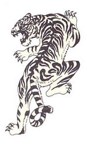 Tiger01