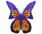 Butterflies in full color 1