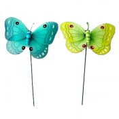 Butterflies in full color 13