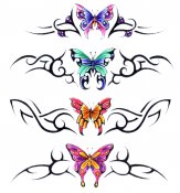 Butterflies in full color 142