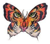 Butterflies in full color 31