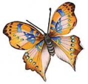 Butterflies in full color 50