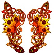 Butterflies in full color 71