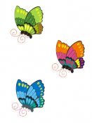 Butterflies in full color 87