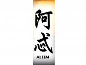 Aleem Tattoo