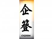 Cigdem