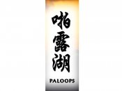 Paloops