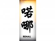 Renal