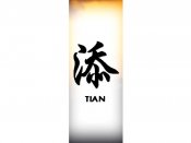 Tian Tattoo