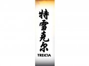 Treicia Tattoo