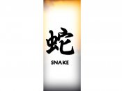 Chinese Zodiac Snake