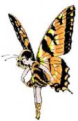 Butterfly Sm