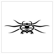 Featured Designs 0786