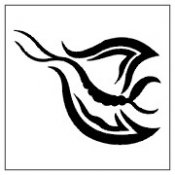 Featured Designs 0971