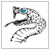 Featured Designs 0976