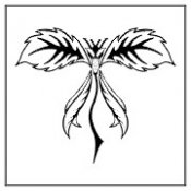 Featured Designs 1034