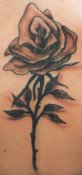 Tattoo 895